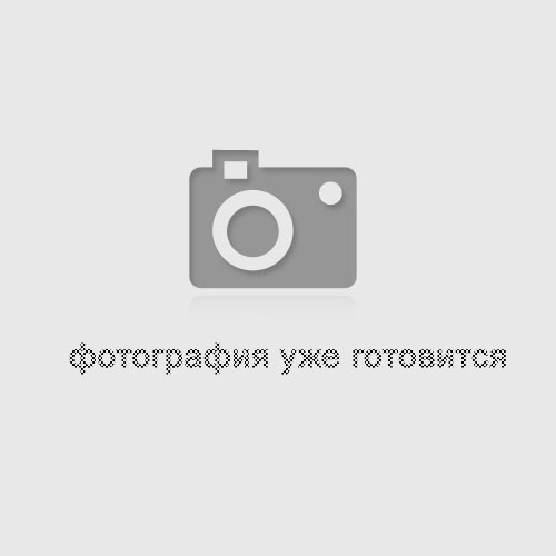 Шафа архівна металева (0, 8мм); зовніш. 1830х915х370мм; кіль-сть папок: 60; 4 полки; Вага 45 Шафа архівна металева (0, 8мм); зовніш. 1830х915х370мм; кіль-сть папок: 60; 4 полки; Вага 45